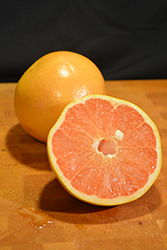 Ruby Red Grapefruit (Citrus x paradisi 'Ruby Red') at Lakeshore Garden Centres